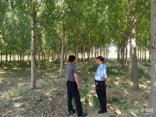 陽信15135畝林木成功通過FSC FM認證 邁向可持續林業管理新階段